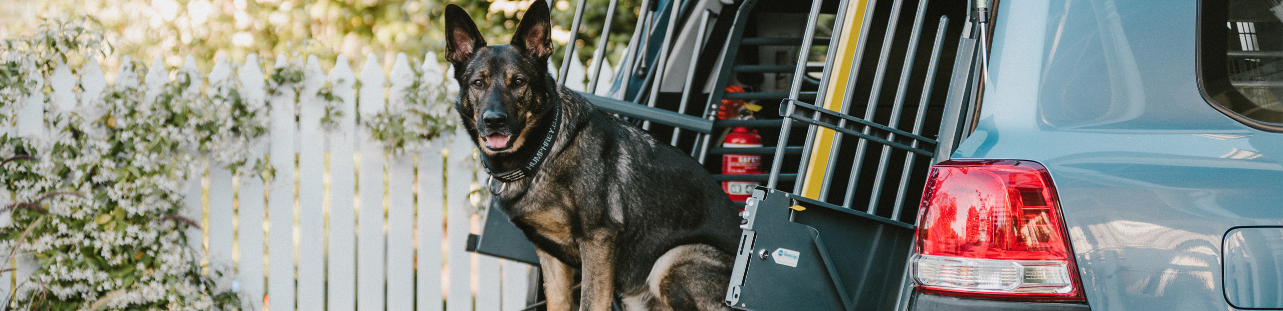 dog travel crates australia