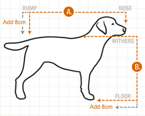 Measure Your Dog