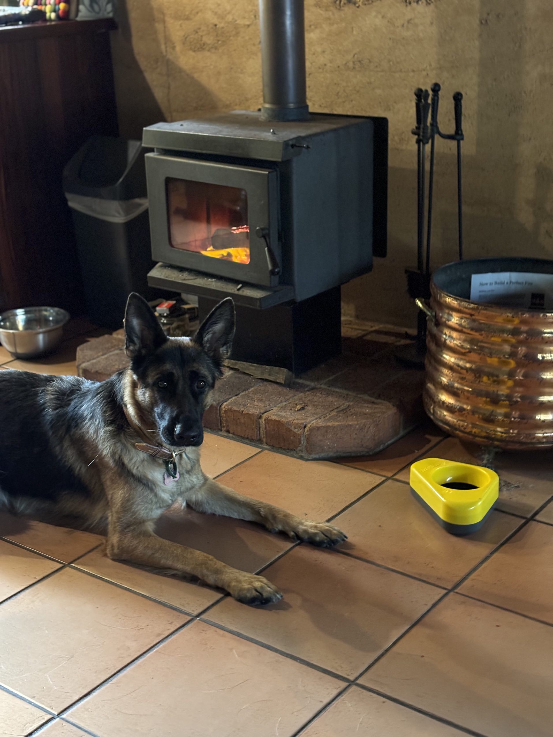 Lyra resting by fire with her non-spill travel water bowl