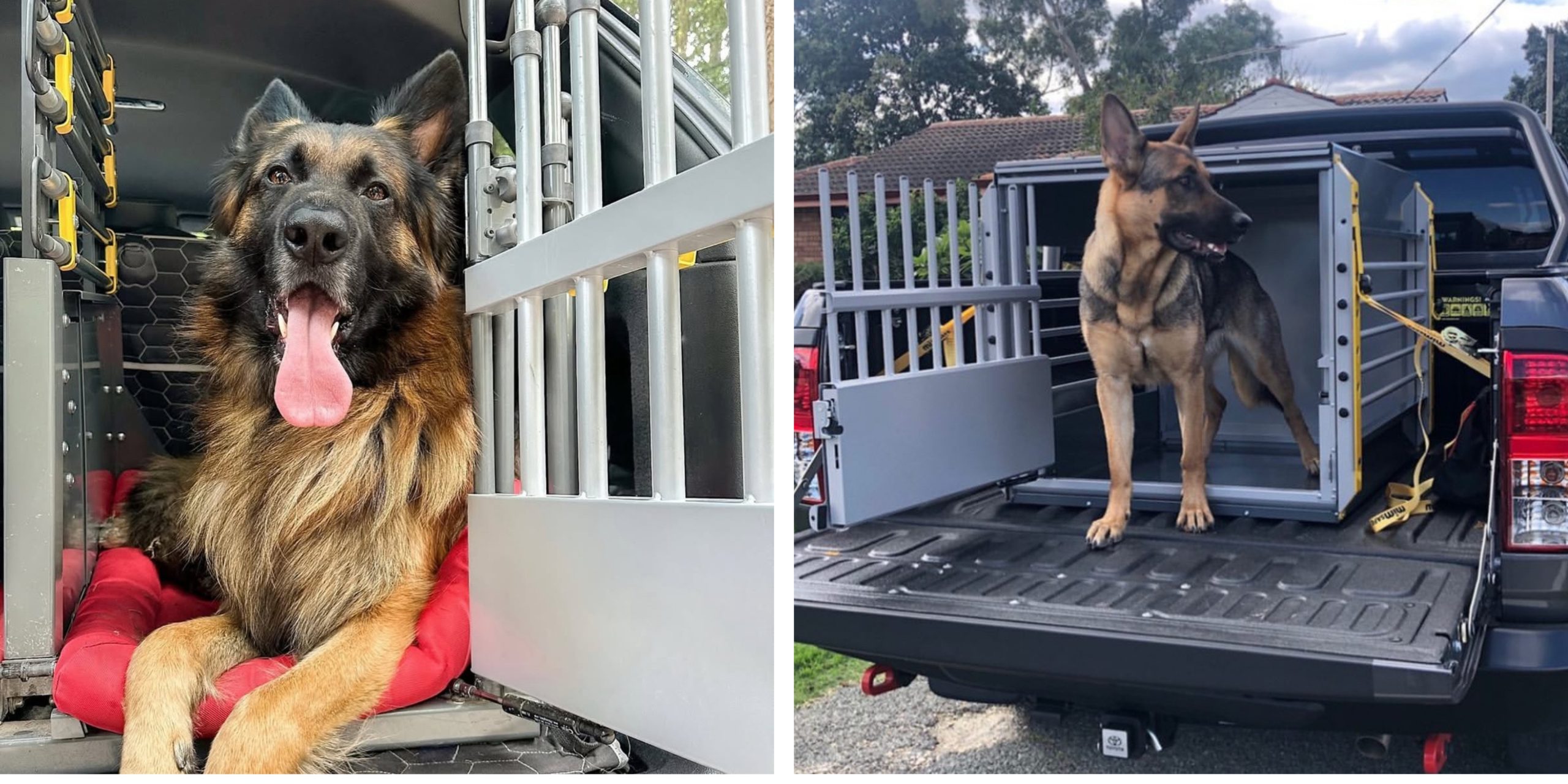 Dogs in car legal summary table